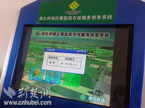 营口市供销合作社联合社信息技术咨询服务 赋能传统供销体系数字化转型