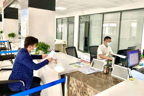 腾格里经济技术开发区行政审批和政务服务局简化审批优化服务 利企投资兴业 信息技术咨询服务